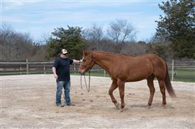 LR-WRF 0402026 Retreat-3199